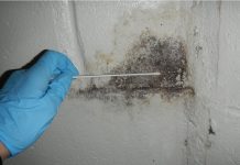 DIY Mold Inspection DIY Mold Inspection