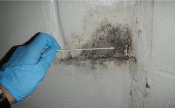 DIY Mold Inspection DIY Mold Inspection
