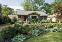 Bring the Paradise at Your Home with Astounding Seasonal Garden Displays Paradise at Your Home with Astounding Seasonal Garden Displays