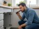Habits that can Reduce Pest Problems in your Redmond home Pest Problems